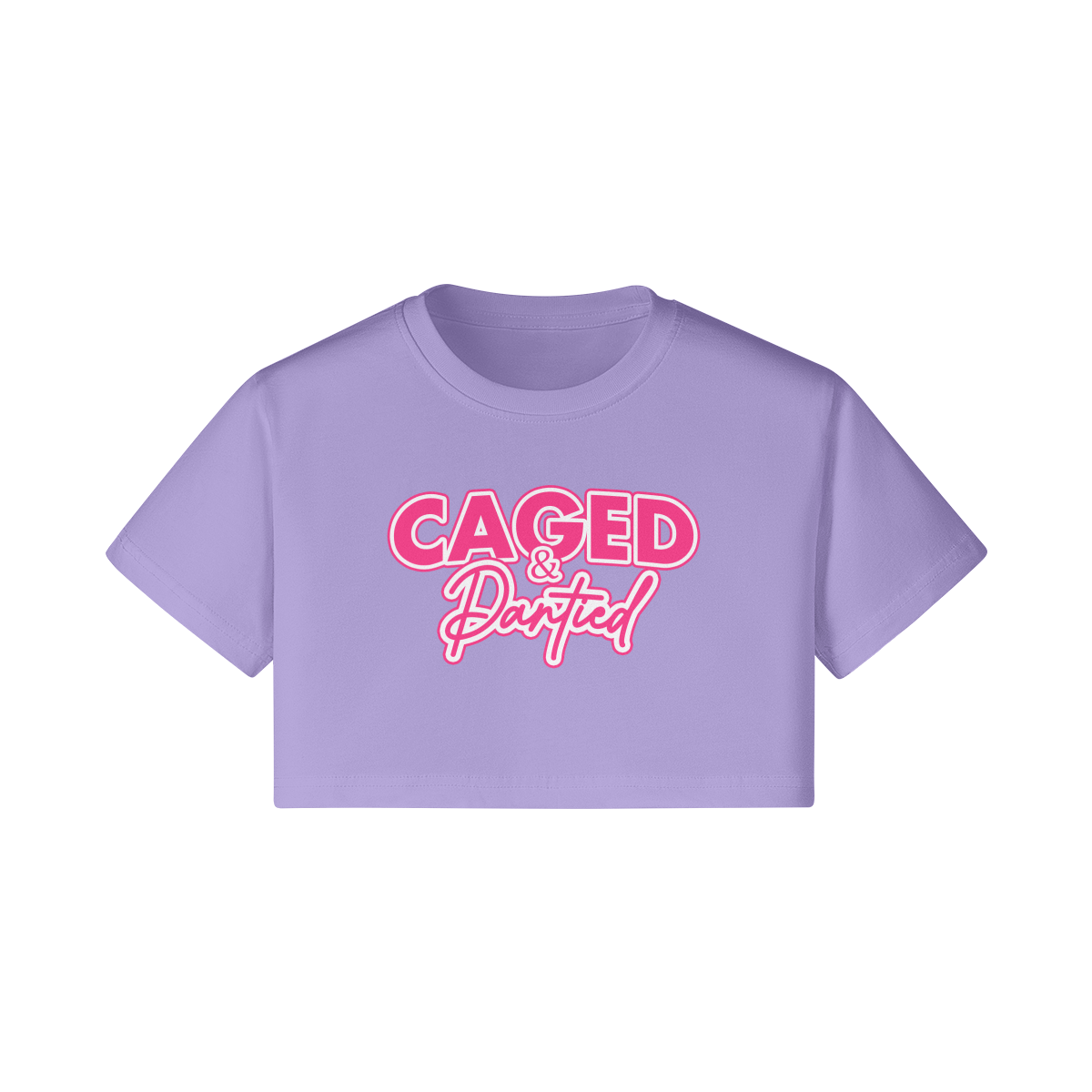 Caged & Pantied Print Crop Top